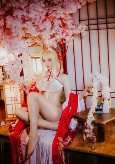 梦想成为魔法少女免费观看全集