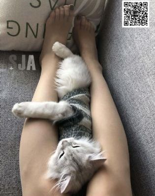女神调教攻略