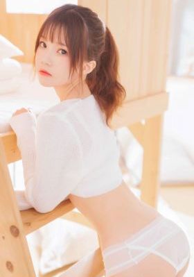 女士的法则电视剧在线观看