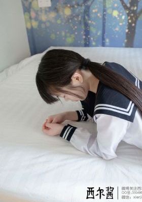 飞屋环游记电影免费版观看